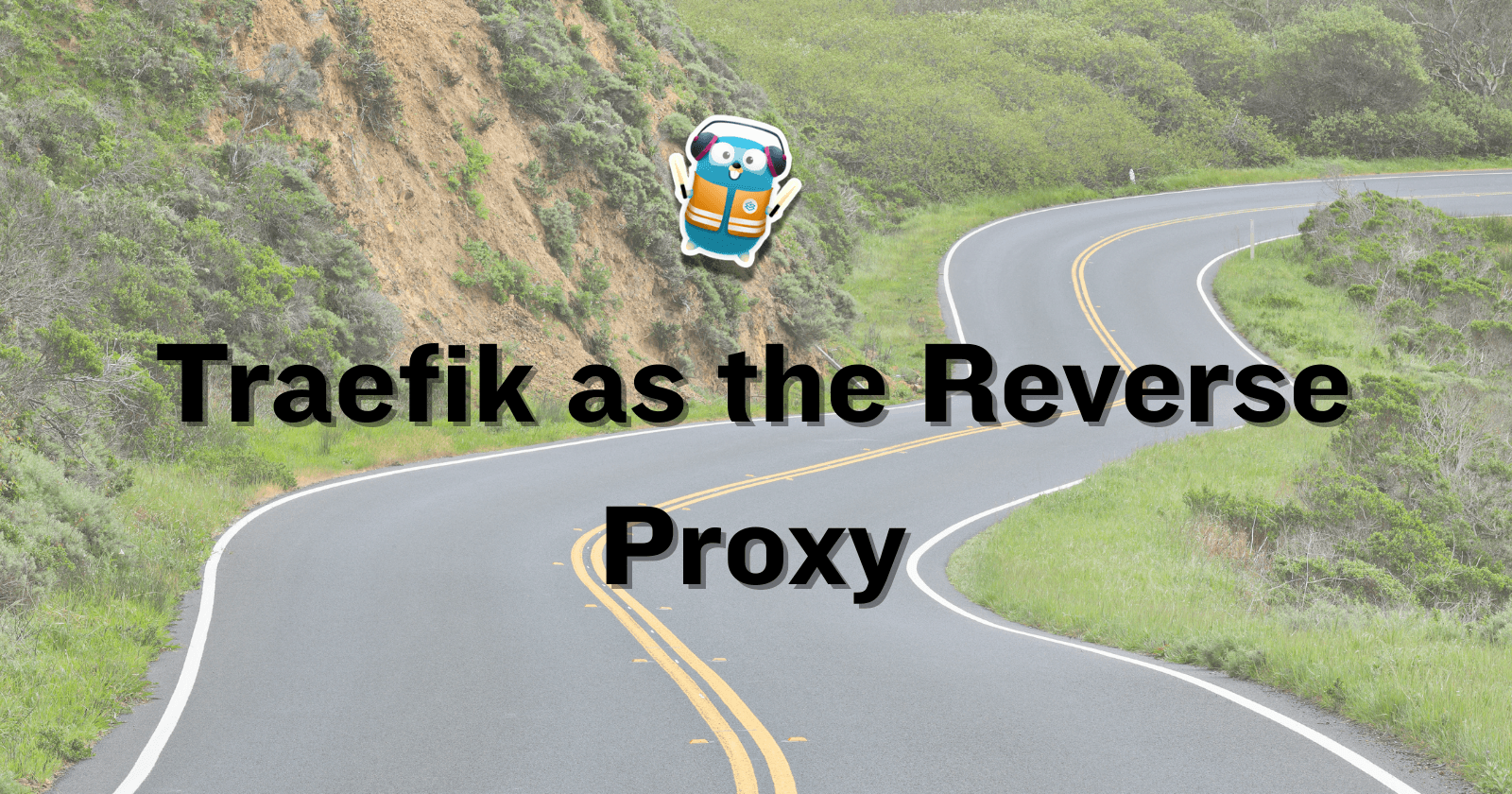 Traefik as the Reverse Proxy
