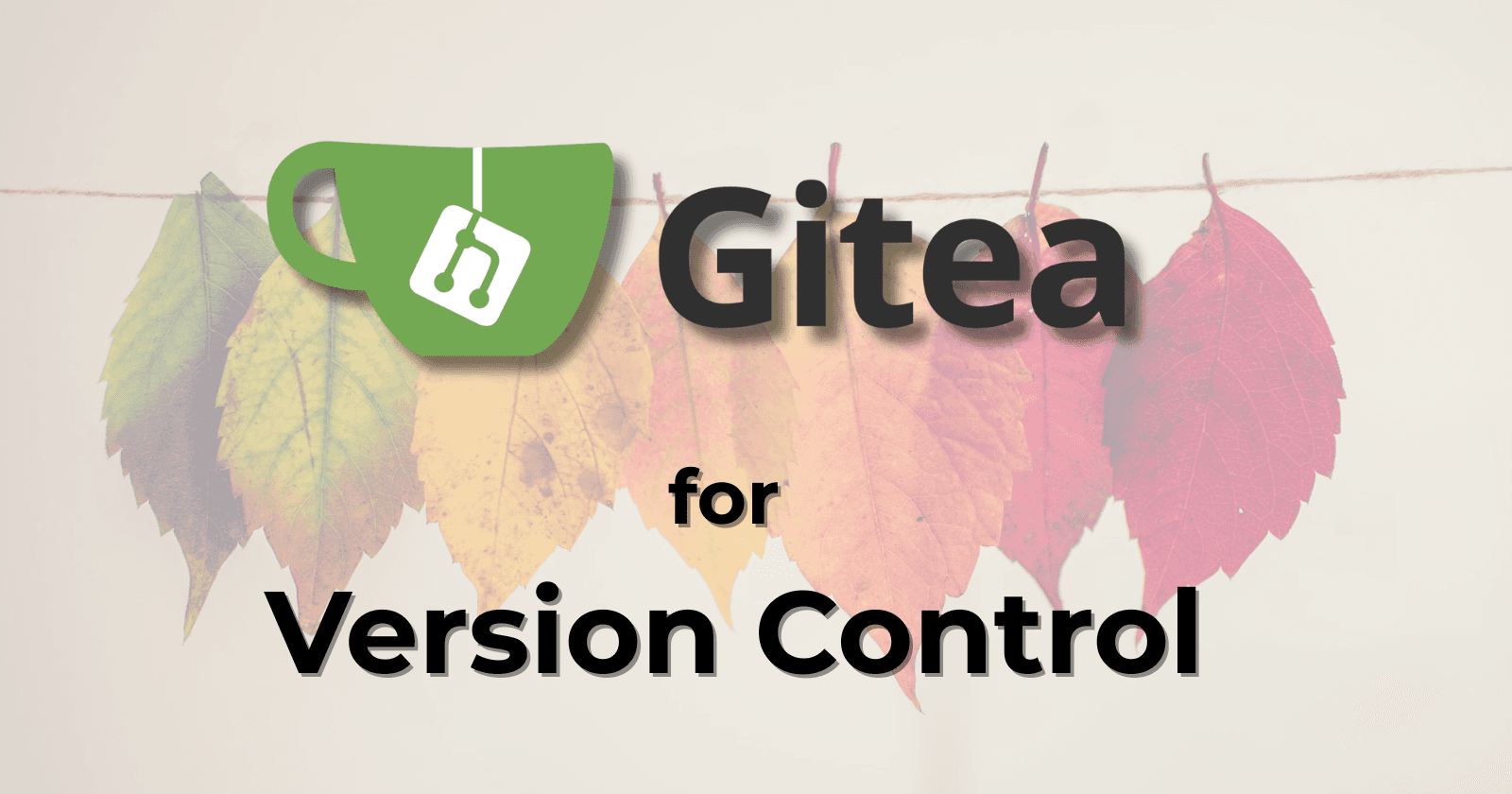 Gitea for Version Control